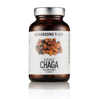 Mushrooms4Life čaga „Organic Chaga” kaps., N.60